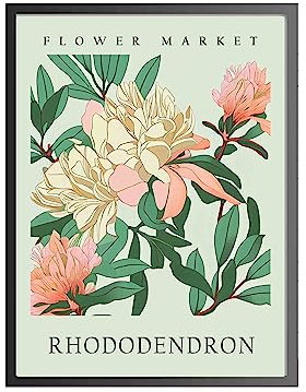 HomeArtPrint Rhododendron Kunstdruck Blumenmarkt Poster Wandkunst Dekor, botanisches Blumen-Kunstwerk für Schlafzimmer, Badezimmer, Wohnzimmer Dekoration (Rhododendron, 40,6 x 50,8 cm + (schwarzer