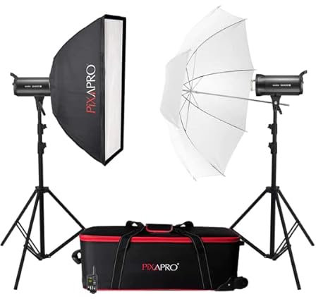 Godox SK400II-V 400Ws Studio Flash Strobe Light Kit in Photography Lighting with HSS and LED Modeling for Camera Video Shooting Monolight Wireless System Bowens Mount (Portable Twin Modifier)