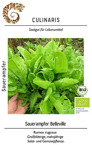 Culinaris 045 Sauerampfer Belleville (Bio-Sauerampfersamen)