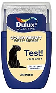 Dulux Valentine Peinture Color Resist - Murs et Boiseries - Mat - Testeur Couleur Jaune Citron 30 ml 5320755