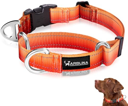 Arblina Martingale Hundehalsband, Reflektierendes Zugstopp Halsband Hunde für Große Mittlere und Kleine Hunde, Nylon Zughalsband mit Stopp für Hunde Whippets, Greyhounds, Saluki, Orange,L