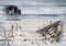 Forwall Fototapete Dünen Strand Meer Nordsee Holzoptik Natur Landschaft Wohnzimmer Schlafzimmer Vlies Tapete Wandtapete UV-Beständig Montagefertig (10028, V8 (368x254 cm) 4 Bahnen)
