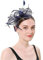 Fascinator Hüte Braut Schleier Kopfbedeckung Damen Mädchen Haar Clip Accessoire Cocktail Party Haarklammer Klassisch Elegant Kopfschmuck 20er Jahre Stirnband Feder Hochzeit Haarschmuck Kirche Tea