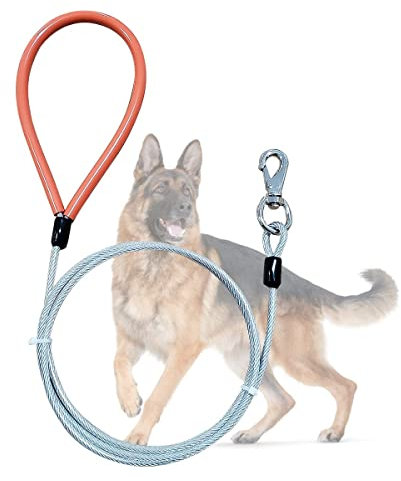 Mi Metty Hundeleine 5ft Leinen für Hunde,Kausichere Hundeleinen,Kettenleine Für mittlere bis große Hunde (Durchsichtig, 5ft/1.5m)