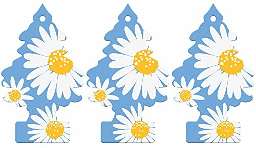 Désodorisant - Little Tree - Lot de 3