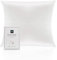 Taie d'oreiller en Soie pour Oreiller 100% Soie 22 Mommes Certifiée Oeko-TEX® Bienfaits Cheveux et Peau Anti Âge, Anti Acarien (60x60cm, White)