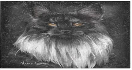 YOUJUNER Lange Badematte Schwarze Maine-Coon-Katze Badteppich Saugfähig Badvorleger weich rutschfest Badezimmerteppich Duschvorleger Duschmatte