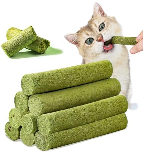 Havenfly 50g Bâton d'herbe à Chat, Friandise à l'herbe à Chat, Collations pour Chats pour Le Nettoyage des Dents et Élimination des Boules de Poils