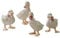 Loberon Küken 4er Set Orélie, detailliert und naturnah gestaltet, mit zierendem Stoffbändchen, Tierfiguren, Osterfiguren, Ostern, Osterdeko, Polyresin, Polyester, antikweiß