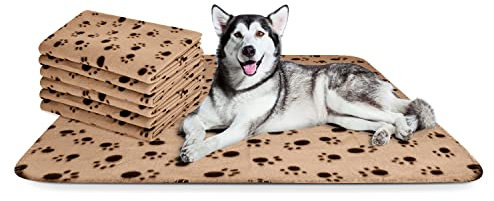 Nobleza - 6 x Hundedecke Weiche Fleecedecke Waschbare Deck für Haustier Hunde Katzen Welpen Weiche Warme Matte, Beige, 160 * 100cm