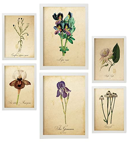 Nacnic Set di 6 poster di fiori d'epoca. Raccolta di piatti con collage estetico per la decorazione d'interni. Taglie A3 e A4. Con cornice bianca.