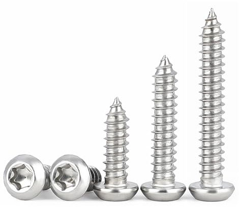 HAISHANG 50 Pezzi Viti a Testa Bombata Torx,M3x12mm Viti Autofilettanti per Legno A2 V2A Autoperforanti a Testa Tonda in Acciaio Inossidabile