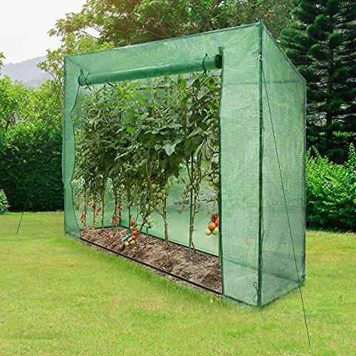 ECD Germany Serre de Jardin Tomates PE Vert Couverture Porte Enroulable Toit en Pente Cultures Légumes Plantes Jardinage Croissance Optimale 200x79x168cm Jardin d'hiver Hot Maison en Plein Air