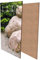 wandmotiv24 Garderobe Japanischer Zen-Steingarten Hochformat - 55x100 (BxH) - Dekorfolie Wandgarderobe, inklusive Garderoben-Haken, Kleiderhaken, Set M1036