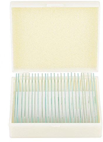 Akozon Dauerpräparate für Mikroskop Prepared Microscope Slides 25 Stücke Biologie Glas präparierte Objektträger Lab Proben für grundlegende biologische Wissenschaft Bildung mit Box