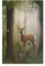 Mnsruu Niedliches Reh Wald Schmetterling Landschaft Natur Küchentücher Bar Geschirrtuch Geschirrtücher Set von 6 super saugfähig weich 71 x 46 cm