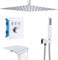 Delnet Thermostatic Shower Mixer Set, 16 Inch Ceiling Mounted Rainfall Shower Set, Concealed Rain Shower System, Can Use All Options at A Time, Chrome