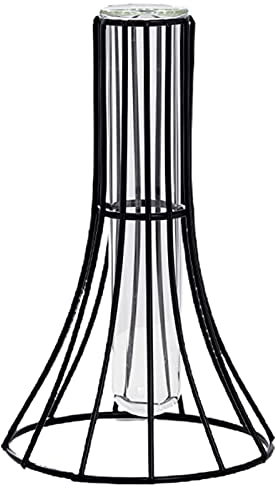 Bodhi2000 Minimalistic Stylish Flower Vase, Modern Vases and Ornaments, Glass Vase Transparent Nordic Style Test Tube Bottle Wrought Iron Terrarium Flower Vase for Garden Black Thin Waist
