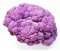 Generic Semi di cavolfiore viola, 50 pezzi Semi di cavolfiore viola Brassica Oleracea Decorazione per orto commestibile 1
