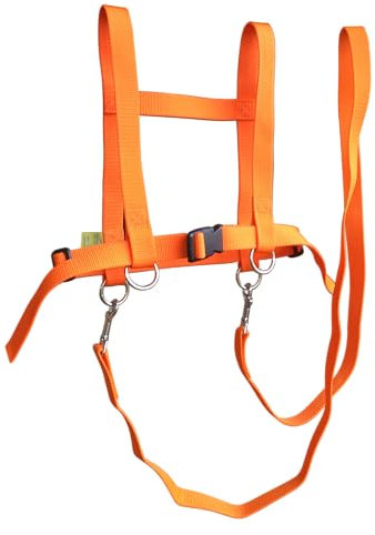 Jamso Design Pferdespielleine Orange Pferdeleine Pferdespiel Pferdegeschirr für 2 Kinder Reiter und Pferd