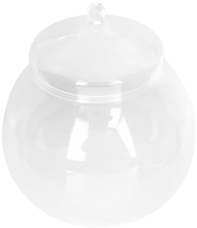 Glas Terrarium Behälter mit Deckel 1 Satz, Wohndekoration | Klare Sicht, Glatte Glasoberfläche, Leicht zu Reinigen, für Wohnzimmer und Schlafzimmer Zufälliger Stil