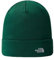 THE NORTH FACE Herren Norm Beanie-Mütze, Moss Green, One Size