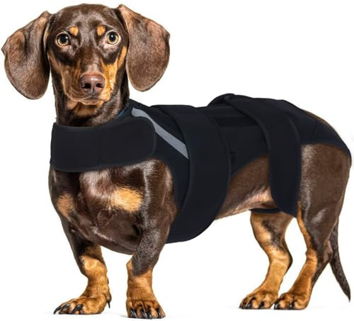 IVDD Rückenbandage für Kleine Hunde, Rückenstützweste mit Lendenwirbelstütze, Hund Rückenprotektor für Bandscheibenvorfall, Wirbelsäulenstütze zur Schmerzlinderung & Chirurgische Rehabilitation