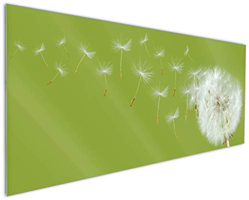 Wallario Küchenrückwand aus Glas 125 x 50 cm, Motiv: Pusteblume auf der Wiese mit fliegenden Samen | Spritzschutz abwischbar & pflegeleicht