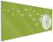 Wallario Küchenrückwand aus Glas 125 x 50 cm, Motiv: Pusteblume auf der Wiese mit fliegenden Samen | Spritzschutz abwischbar & pflegeleicht