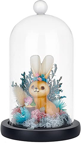 PandaHall Glasglocke Glocke Kuppel Mit Holzsockel Glasdekoration Flaschen Für Pflanzen Blumen Ton Sukkulenten Aufbewahrung Zuhause Weihnachtsfeier Dekoration 4.3x7.2 cm