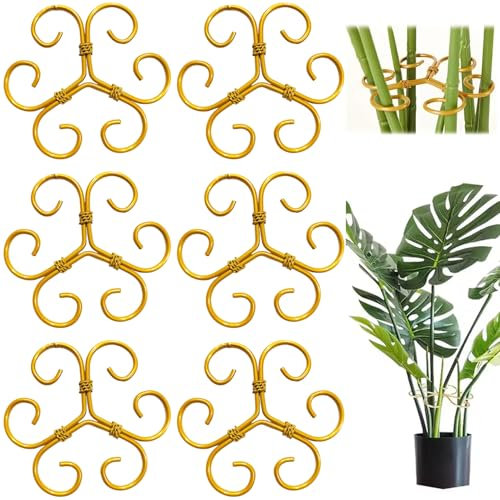 Supporto per Gambo vegetale 6pcs 4x4 Pollici Stabilizzatore di Piante in Metallo Dorato a Forma di Cuore per Monstera, Piante da Interno Supporto