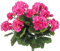 CISDUEO Künstliche Geranien für den Außenbereich, Seidenblumen, Rosenrot, künstliche Geranien, rote Geranien für Blumen, Heimdekoration, Innenbereich, Garten, Terrasse, Grab, Friedhofsvase,