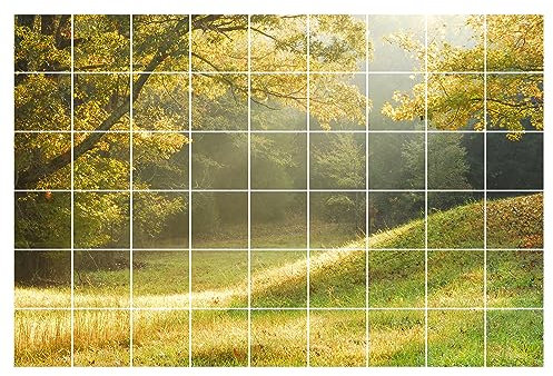 GRAZDesign Fliesenaufkleber Bad & Küche 10x10cm - 54 Stück | Motiv Wiese im Wald wasserfeste & selbstklebende Klebefliesen | Fliesenfolie Fliesenbild 90x60cm