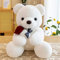 BRISKORE Kuschelweicher Teddybär groß 25 cm mit Rose, Kuscheltier Teddy Teddybär Weiches Fell Teddybär Stofftier Teddy Kuscheltier aus Plüsch zum Kuscheln Spielzeug Stofftier Plüschtier (Weiß)