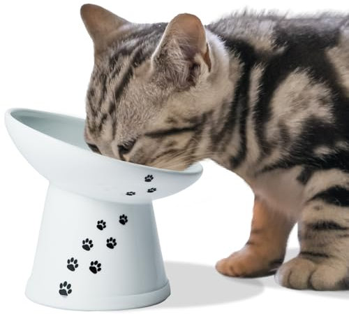 Tilted Stress Free Raised Cat Food Bowl, Regular (Cat)
