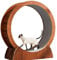 DWZXL Katzenrad Katzenlaufband Katzenlaufrad Sportrollenspielzeug Massivholz Großes Katzenklettergerüst Haustier Katzenbedarf Katzenspielzeug Cat Wheel(XL)
