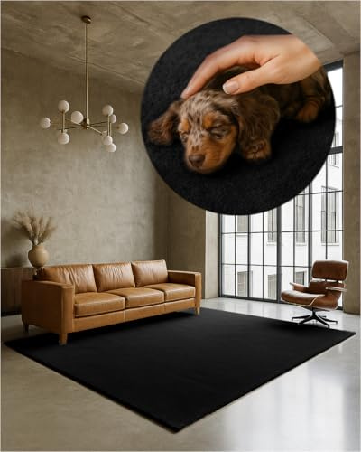 TEXMAXX Weicher Kurzflor Teppich Wohnzimmer mit rutschhemmender Rückseite (120 x 170 cm) - Modern für Flur, Esszimmer und als Schlafzimmer Teppich in Schwarz - Waschbar bis 30 Grad