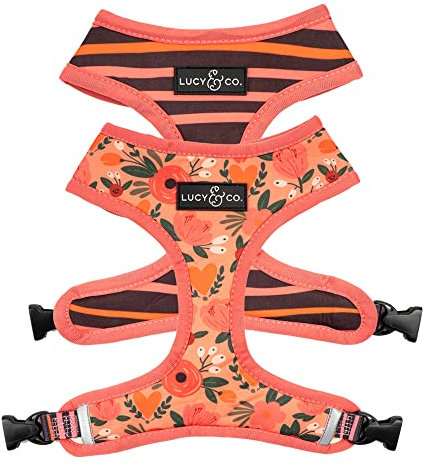 Lucy & Co. Wendbares Hundegeschirr, Wanderhalfter, beste Designer-Haustiergeschirre für extra kleine, mittelgroße und große Hunde sowie Mops-Rassen, gepolsterte, verstellbare Welpenweste für einfaches
