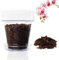 Kalapanta Orchideen-Umtopf 3er-Set: 3 Durchsichtiger Blumentopf mit Drainagelöchern, 3 Untertasse und 2 Orchideensubstrat - (Ø 14 cm - 3)