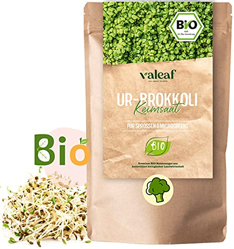 valeaf BIO Brokkoli Keimsaat 500 g I Brokkoli Samen für Brokkolisprossen mit Sulfarophan I Brokkoli Sprossen BIO I Brokkolisamen mit höchster Qualität & Keimfähigkeit I Bio Keimsprossen Samen