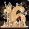 16 Geburtstag Mädchen Junge, Geldgeschenke Geburtstag 16 Alles Gute zum mit LED Lichterkette Ständer,Holz Geburtstags-Gästebuch 16.Geburtstag Deko,Coole Geschenkideen zum 16.Geburtstag Tischdeko.