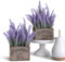 Butterfly Craze Plantes de Lavande artificielles dans des Pots rustiques en Bois – Réalistes, Superbes Fleurs Violettes en Soie synthétique parfaites pour surélever Votre terrasse, décoration