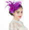 Fascinators Hut Blume Damen Mädchen Haar Mesh Feder Clip Elegant Haarklammer Schleier 20er Jahre Kopfschmuck Cocktail Tea Party Kopfbedeckung Pillbox Stirnband Haarnadel Haarschmuck Hochzeit Kirche
