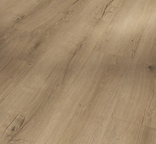 Parador Designboden Vinyl Basic 5.3 Eiche Cambridge natur Naturstruktur Landhausdiele 4-seitige Fase