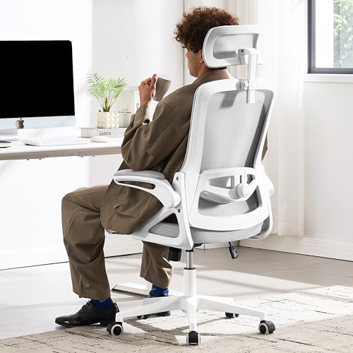 Fizzin Grau Praktischer Ergonomischer Bürostuhl Ergonomic Office Chair | Atmungsaktiver Mesh Schreibtischstuhl mit Verstellbarer Lendenstütze & Kopfstütze für Büro, Home Office & Gaming