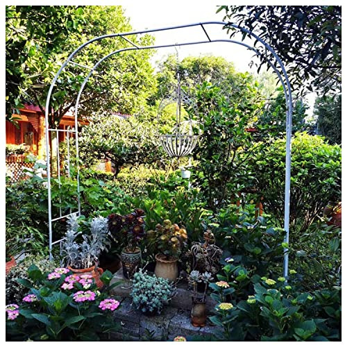 SDdPulse Arcos de jardín de metal, arcos de rosas, enrejado de jardín para plantas trepadoras, decoración al aire libre, boda, fiesta de cumpleaños, 1,2 m, 1,5 m, 1,8 m, 2,2 m, 2,4 m, 2,6 m, 3 m de