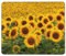 JIMOWANG Sunflowers Beautiful Gaming Mouse Pad Smooth Surface Mousepad Rubber Mouse Pads 9.5 x 7.9 Inch