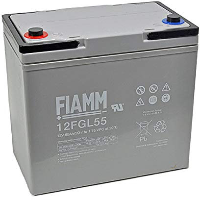 Fiamm 12FGL55 Blei Akku mit M6 Schraubanschluss 12V, 55000mAh