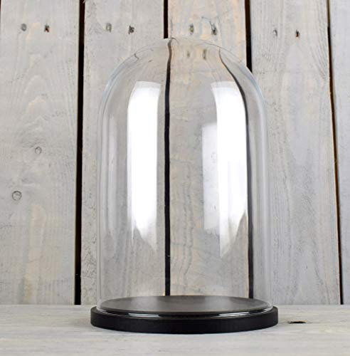 EMH Cloche dôme en verre de taille moyenne avec base noire, hauteur 37 x 21 cm