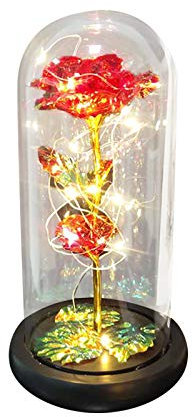Hoothy💋 Fleur Eternelle sous Cloche Oeillet Rose Cadeau De Fête des Mères Cadeau De Rose Éternelle Saint Valentin Fête des Mères Cadeau pour Homme Saint Valentin (B, One Size)